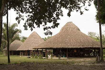 Thatched_roof_houses_in_Guyana-