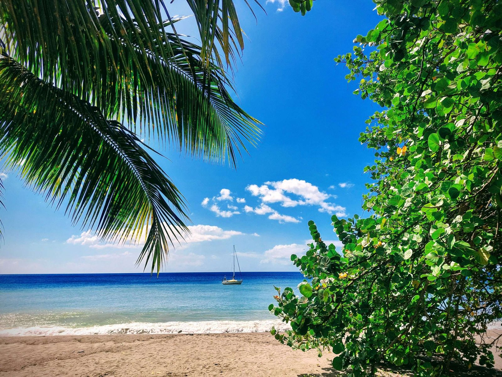 martinique